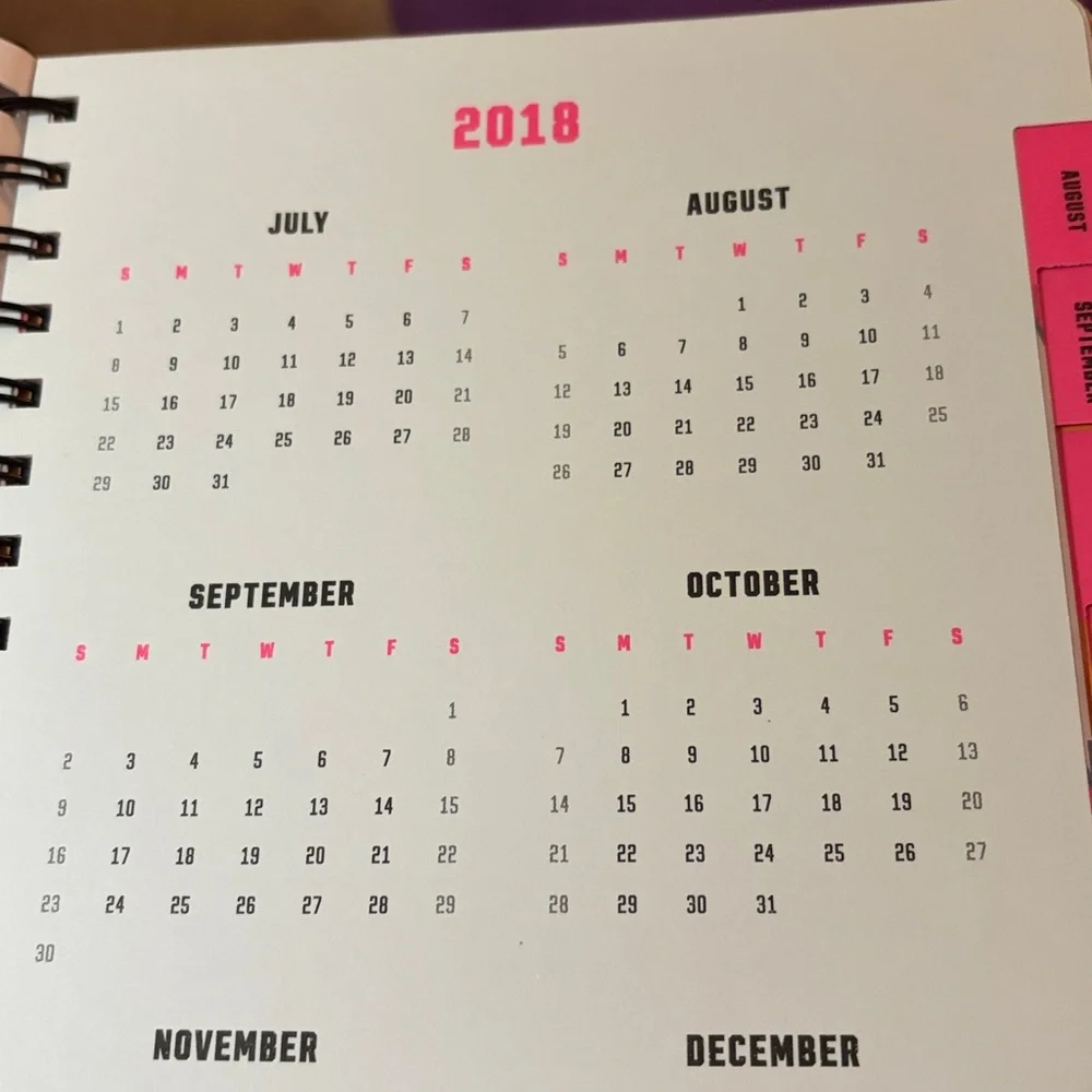 Pink Victoria’s Secret datebooks 2017-2019 for collectors brand new